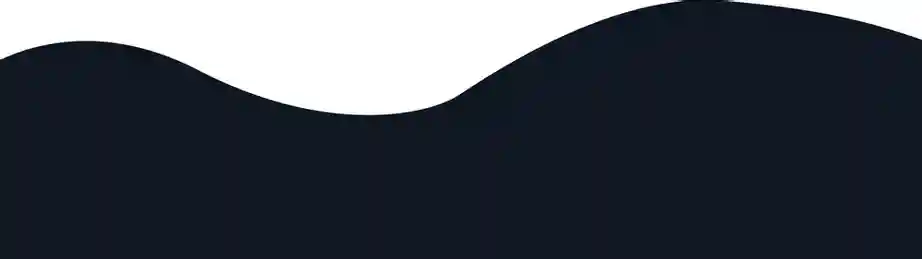 decorative sound wave image